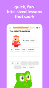 Duolingo - Screenshot 16