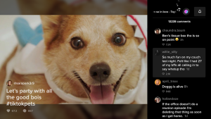 TikTok for Android TV - Screenshot 5