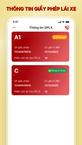 VNeTraffic - Screenshot 4