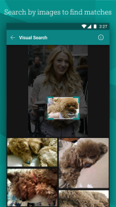 Microsoft Bing Search - Screenshot 7