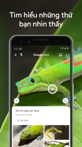 Google Ống kính - Screenshot 6