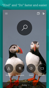 Microsoft Bing Search - Screenshot 3