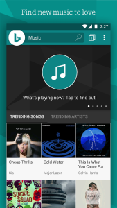 Microsoft Bing Search - Screenshot 2