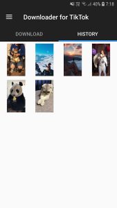 Downloader for TikTok - Screenshot 1